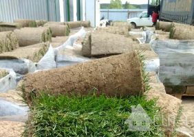 Доставка рулонного газона Элит-Грасс